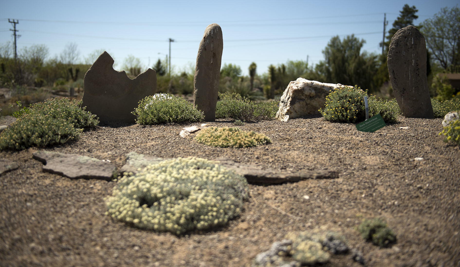 Hidden gem planted in Twin Falls